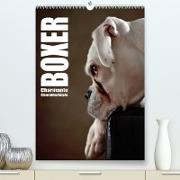 Boxer - Charmante Charakterköpfe (Premium, hochwertiger DIN A2 Wandkalender 2022, Kunstdruck in Hochglanz)
