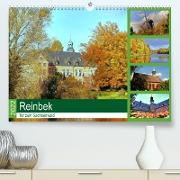 Reinbek, Tor zum Sachsenwald (Premium, hochwertiger DIN A2 Wandkalender 2022, Kunstdruck in Hochglanz)