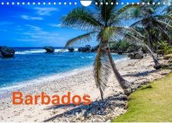 Barbados (Wandkalender 2022 DIN A4 quer)