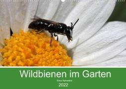 Wildbienen im Garten (Wandkalender 2022 DIN A2 quer)