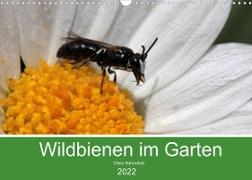 Wildbienen im Garten (Wandkalender 2022 DIN A3 quer)