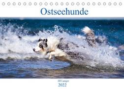 Ostseehunde (Tischkalender 2022 DIN A5 quer)