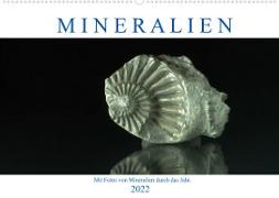 Mineralien (Wandkalender 2022 DIN A2 quer)