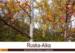 Ruska-Aika - der finnische Herbst in Lappland (Wandkalender 2022 DIN A2 quer)