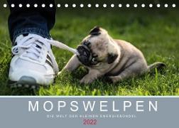 Mopswelpen (Tischkalender 2022 DIN A5 quer)