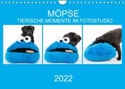 MÖPSE - tierische Momente im Fotostudio (Wandkalender 2022 DIN A4 quer)