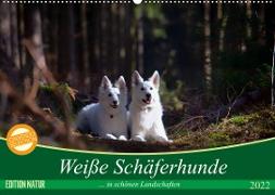 Weiße Schäferhunde in schönen Landschaften (Wandkalender 2022 DIN A2 quer)