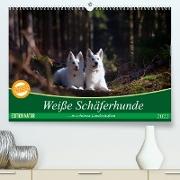 Weiße Schäferhunde in schönen Landschaften (Premium, hochwertiger DIN A2 Wandkalender 2022, Kunstdruck in Hochglanz)