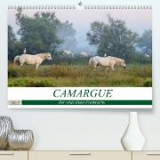 Camargue - Der wilde Süden Frankreichs (Premium, hochwertiger DIN A2 Wandkalender 2022, Kunstdruck in Hochglanz)