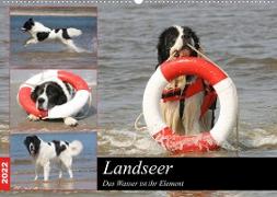 Landseer - Das Wasser ist ihr Element (Wandkalender 2022 DIN A2 quer)
