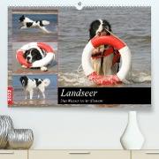 Landseer - Das Wasser ist ihr Element (Premium, hochwertiger DIN A2 Wandkalender 2022, Kunstdruck in Hochglanz)