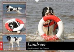 Landseer - Das Wasser ist ihr Element (Wandkalender 2022 DIN A3 quer)
