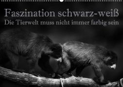 Faszination schwarz-weiß - Die Tierwelt muss nicht immer farbig sein (Wandkalender 2022 DIN A2 quer)