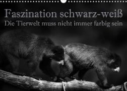 Faszination schwarz-weiß - Die Tierwelt muss nicht immer farbig sein (Wandkalender 2022 DIN A3 quer)
