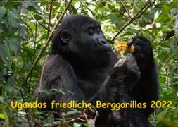 Ugandas friedliche Berggorillas (Wandkalender 2022 DIN A2 quer)