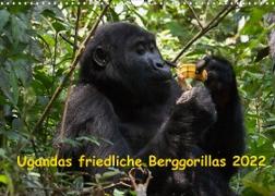 Ugandas friedliche Berggorillas (Wandkalender 2022 DIN A3 quer)