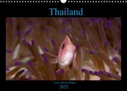 Thailand - Unter Wasser Makro (Wandkalender 2022 DIN A3 quer)