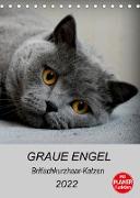 Graue Engel - Britischkurzhaar-Katzen (Tischkalender 2022 DIN A5 hoch)