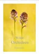 Wilde Orchideen Europas (Wandkalender 2022 DIN A2 hoch)