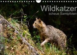 Wildkatzen - scheue Samtpfoten (Wandkalender 2022 DIN A4 quer)