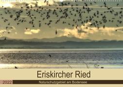 Eriskircher Ried - Naturschutzgebiet am Bodensee (Wandkalender 2022 DIN A2 quer)
