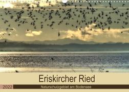Eriskircher Ried - Naturschutzgebiet am Bodensee (Wandkalender 2022 DIN A3 quer)