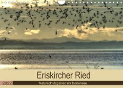 Eriskircher Ried - Naturschutzgebiet am Bodensee (Wandkalender 2022 DIN A4 quer)