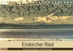 Eriskircher Ried - Naturschutzgebiet am Bodensee (Tischkalender 2022 DIN A5 quer)