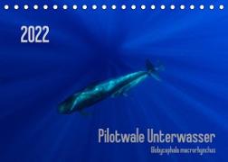Pilotwale Unterwasser - Globicephala macrorhynchus (Tischkalender 2022 DIN A5 quer)