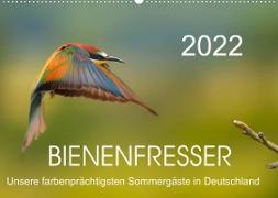 Bienenfresser, unsere farbenprächtigsten Sommergäste in Deutschland (Wandkalender 2022 DIN A2 quer)