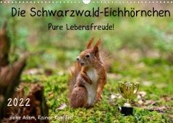 Die Schwarzwald-Eichhörnchen (Wandkalender 2022 DIN A3 quer)