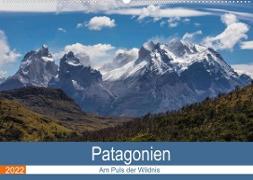 Patagonien - Am Puls der Wildnis (Wandkalender 2022 DIN A2 quer)