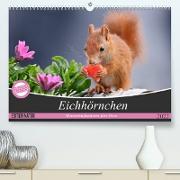 Eichhörnchen Momentaufnahmen fürs Herz (Premium, hochwertiger DIN A2 Wandkalender 2022, Kunstdruck in Hochglanz)