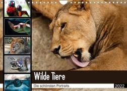 Wilde Tiere - Die schönsten Portraits (Wandkalender 2022 DIN A4 quer)