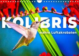 Kolibris - wahre Luftakrobaten (Wandkalender 2022 DIN A4 quer)