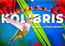 Kolibris - wahre Luftakrobaten (Wandkalender 2022 DIN A3 quer)