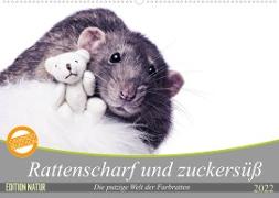 Rattenscharf und zuckersüß (Wandkalender 2022 DIN A2 quer)