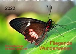 Fliegende Wunderwesen. Schmetterlinge weltweit, ganz nah (Wandkalender 2022 DIN A2 quer)