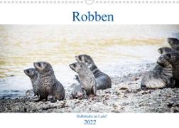 Robben - Halbstarke an Land (Wandkalender 2022 DIN A3 quer)