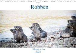 Robben - Halbstarke an Land (Wandkalender 2022 DIN A4 quer)