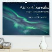 Aurora borealis - Magische Polarlichtnächte in Island und Norwegen (Premium, hochwertiger DIN A2 Wandkalender 2022, Kunstdruck in Hochglanz)