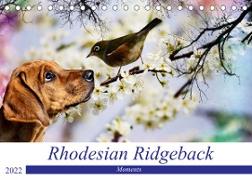 Rhodesian Ridgeback - Moments (Tischkalender 2022 DIN A5 quer)