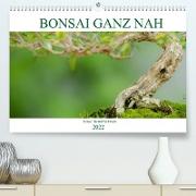 Bonsai ganz nah (Premium, hochwertiger DIN A2 Wandkalender 2022, Kunstdruck in Hochglanz)