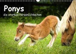 Ponys, die starken Persönlichkeiten (Wandkalender 2022 DIN A3 quer)