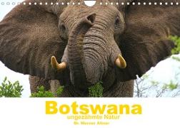 Botswana - ungezähmte Natur (Wandkalender 2022 DIN A4 quer)