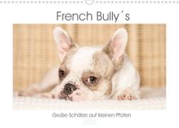 French Bully´s - Große Schätze auf kleinen Pfoten (Wandkalender 2022 DIN A3 quer)