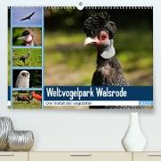 Weltvogelpark Walsrode - Die Vielfalt der Vogelarten (Premium, hochwertiger DIN A2 Wandkalender 2022, Kunstdruck in Hochglanz)