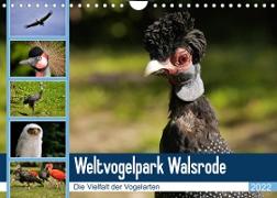 Weltvogelpark Walsrode - Die Vielfalt der Vogelarten (Wandkalender 2022 DIN A4 quer)