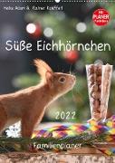 Süße Eichhörnchen (Wandkalender 2022 DIN A2 hoch)