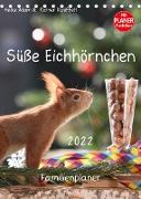 Süße Eichhörnchen (Tischkalender 2022 DIN A5 hoch)